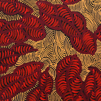 Aboriginal Artwork by Geraldine Napurrurla Langdon, Ngurlu Jukurrpa (Native Seed Dreaming), 30x30cm