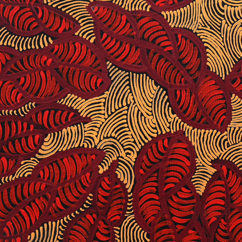 Aboriginal Artwork by Geraldine Napurrurla Langdon, Ngurlu Jukurrpa (Native Seed Dreaming), 30x30cm
