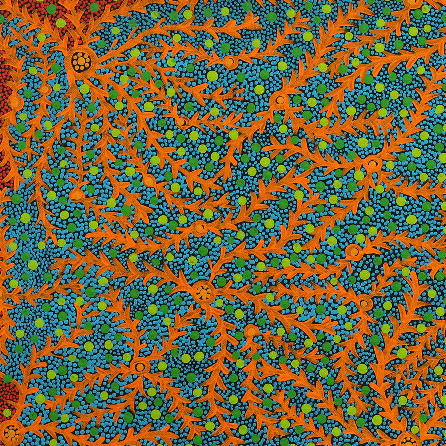 Aboriginal Artwork by Geraldine Napurrurla Langdon, Ngurlu Jukurrpa (Native Seed Dreaming), 61x61cm