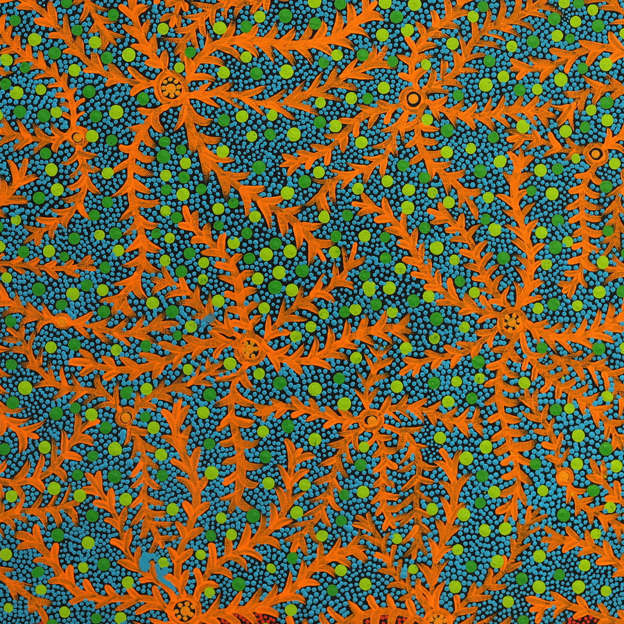 Aboriginal Artwork by Geraldine Napurrurla Langdon, Ngurlu Jukurrpa (Native Seed Dreaming), 61x61cm