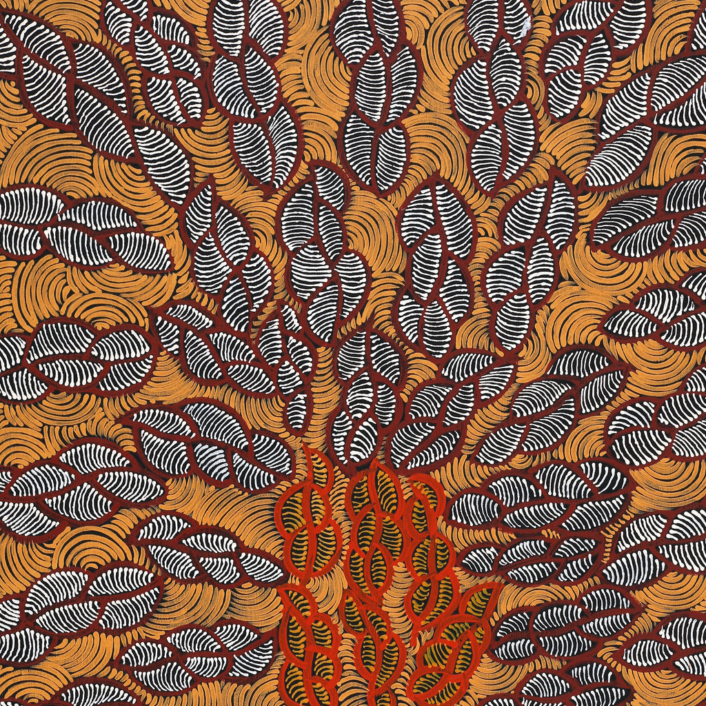 Aboriginal Artwork by Geraldine Napurrurla Langdon, Ngurlu Jukurrpa (Native Seed Dreaming), 76x46cm