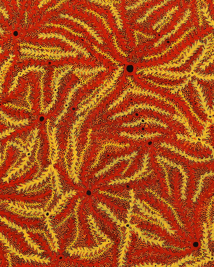 Aboriginal Artwork by Geraldine Napurrurla Langdon, Ngurlu Jukurrpa (Native Seed Dreaming), 91x61cm