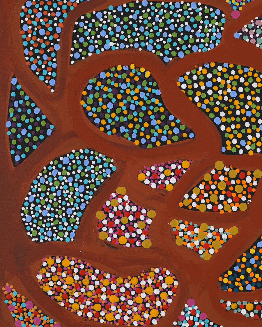 Aboriginal Artwork by Gladys Kuru Bidu, Linyji (Claypan), 91x61cm