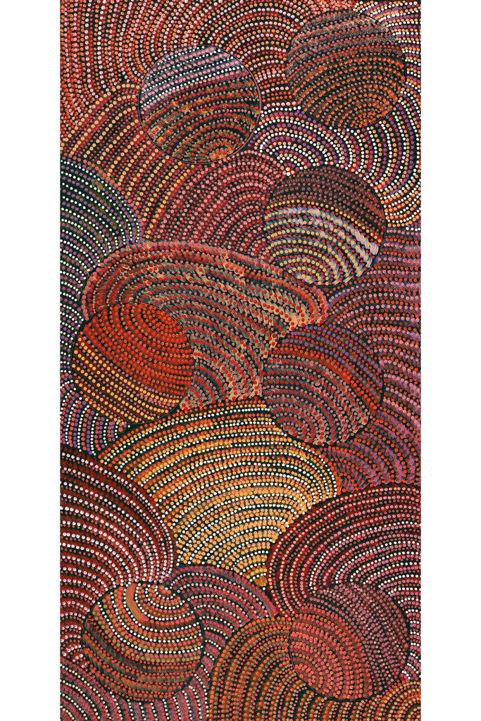 Aboriginal Artwork by Grace Napangardi Butcher, Pikilyi Jukurrpa (Vaughan Springs Dreaming), 122x61cm