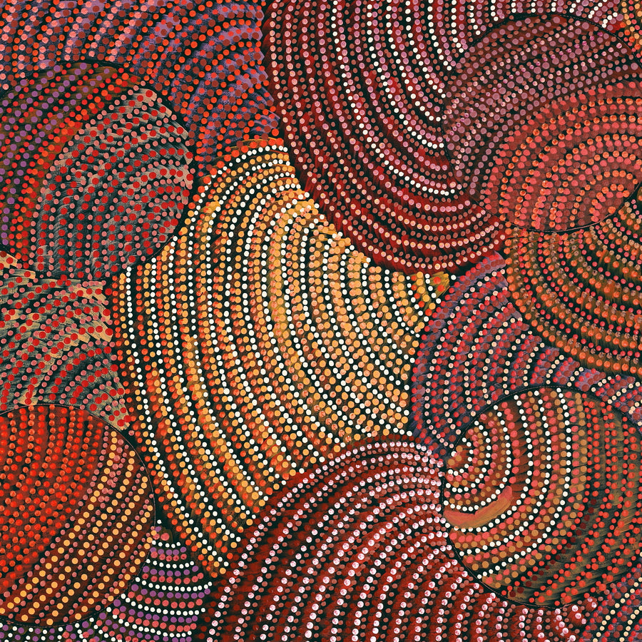 Aboriginal Artwork by Grace Napangardi Butcher, Pikilyi Jukurrpa (Vaughan Springs Dreaming), 122x61cm