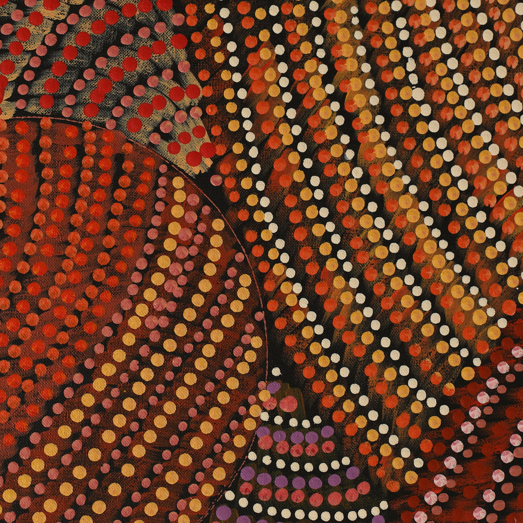 Aboriginal Artwork by Grace Napangardi Butcher, Pikilyi Jukurrpa (Vaughan Springs Dreaming), 122x61cm