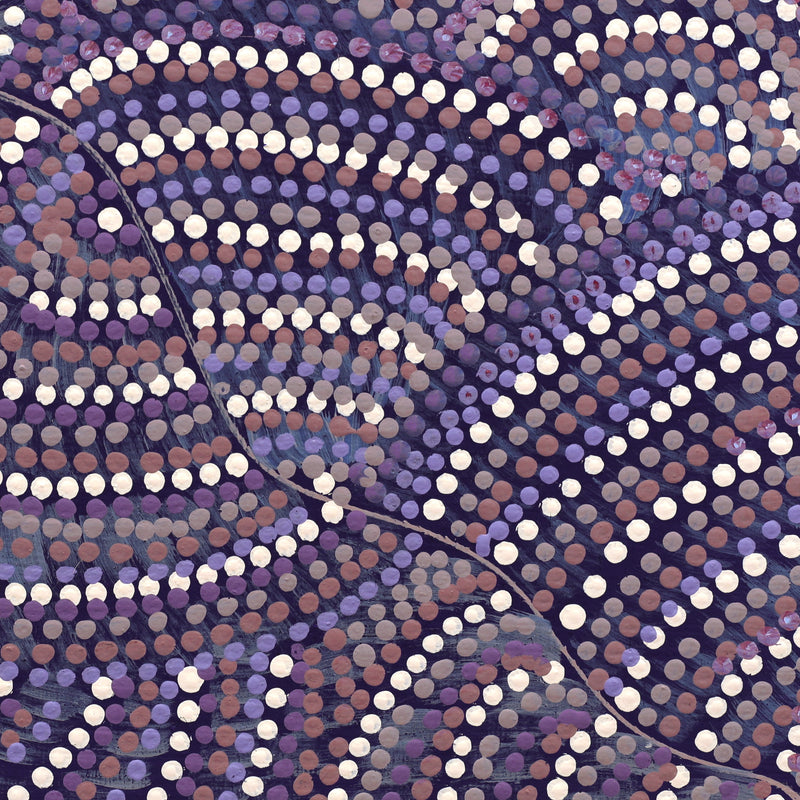 Aboriginal Artwork by Grace Napangardi Butcher, Pikilyi Jukurrpa (Vaughan Springs Dreaming), 30x30cm