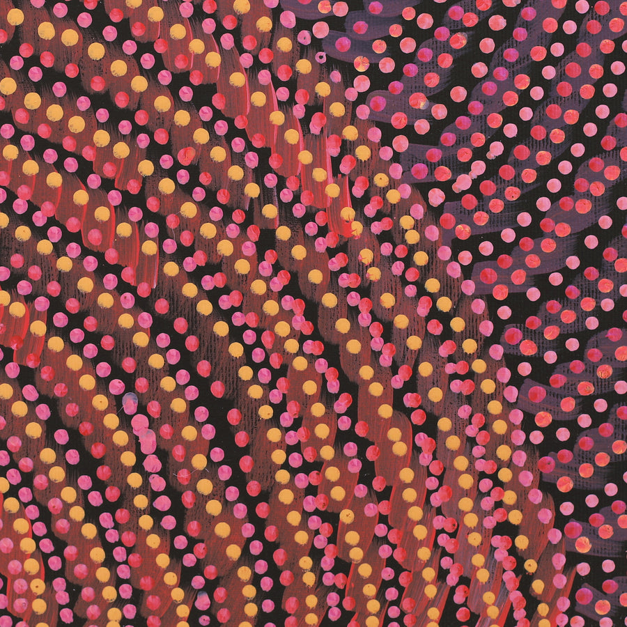 Aboriginal Artwork by Grace Napangardi Butcher, Pikilyi Jukurrpa (Vaughan Springs Dreaming), 30x30cm