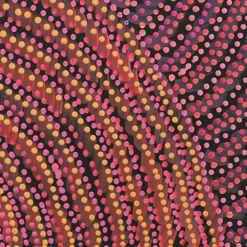 Aboriginal Artwork by Grace Napangardi Butcher, Pikilyi Jukurrpa (Vaughan Springs Dreaming), 30x30cm