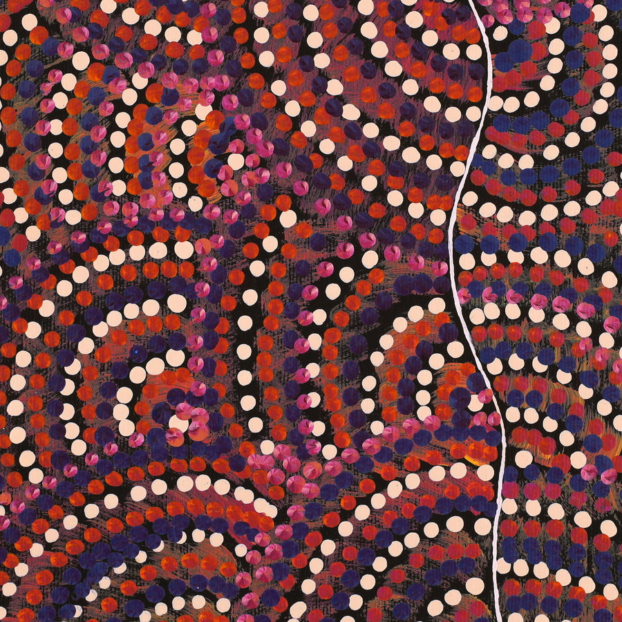 Aboriginal Artwork by Grace Napangardi Butcher, Pikilyi Jukurrpa (Vaughan Springs Dreaming), 30x30cm