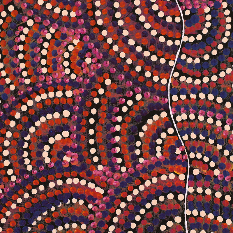 Aboriginal Artwork by Grace Napangardi Butcher, Pikilyi Jukurrpa (Vaughan Springs Dreaming), 30x30cm