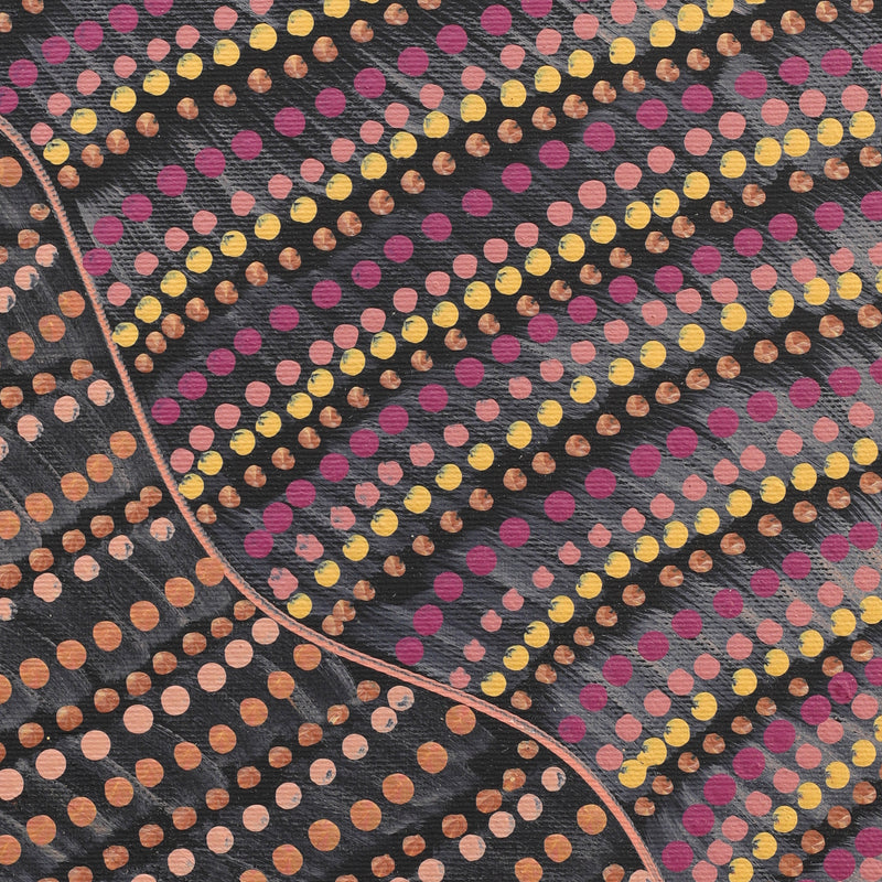 Aboriginal Artwork by Grace Napangardi Butcher, Pikilyi Jukurrpa (Vaughan Springs Dreaming), 30x30cm
