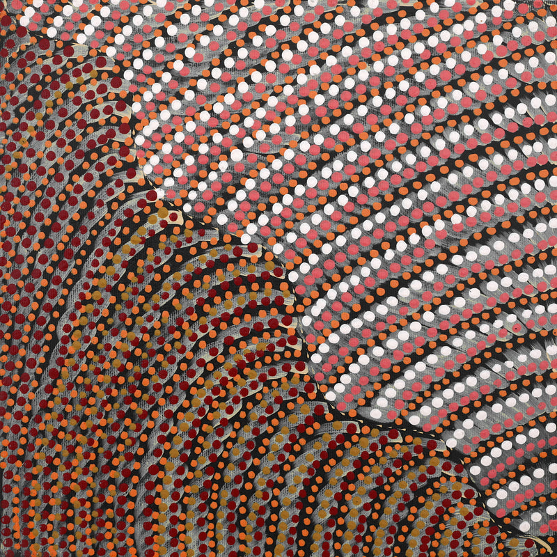 Aboriginal Artwork by Grace Napangardi Butcher, Pikilyi Jukurrpa (Vaughan Springs Dreaming), 30x30cm