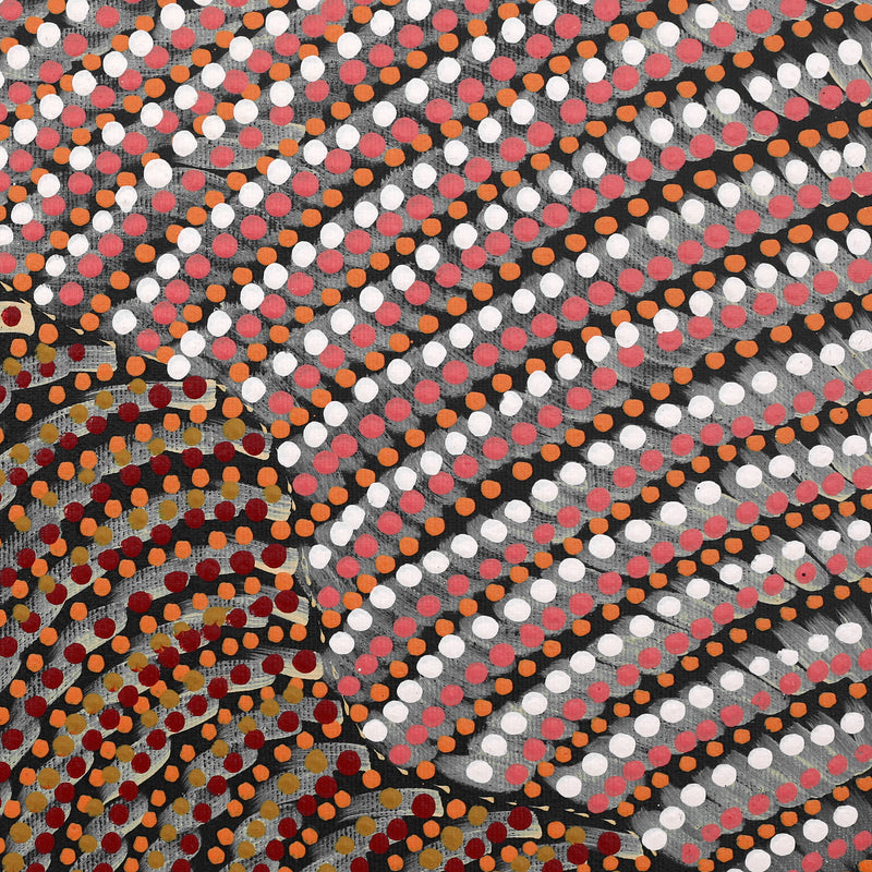 Aboriginal Artwork by Grace Napangardi Butcher, Pikilyi Jukurrpa (Vaughan Springs Dreaming), 30x30cm
