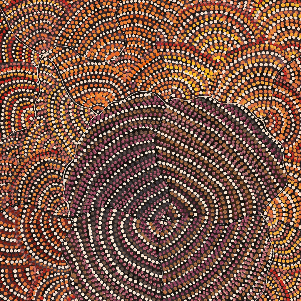 Aboriginal Artwork by Grace Napangardi Butcher, Pikilyi Jukurrpa (Vaughan Springs Dreaming), 76x61cm