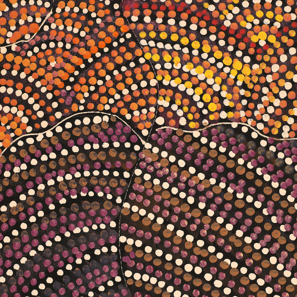 Aboriginal Artwork by Grace Napangardi Butcher, Pikilyi Jukurrpa (Vaughan Springs Dreaming), 76x61cm