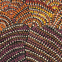 Aboriginal Artwork by Grace Napangardi Butcher, Pikilyi Jukurrpa (Vaughan Springs Dreaming), 76x61cm