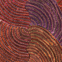 Aboriginal Artwork by Grace Napangardi Butcher, Pikilyi Jukurrpa (Vaughan Springs Dreaming), 91x46cm