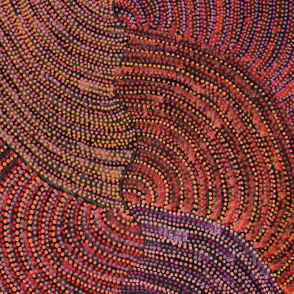 Aboriginal Artwork by Grace Napangardi Butcher, Pikilyi Jukurrpa (Vaughan Springs Dreaming), 91x46cm