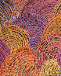 Aboriginal Artwork by Grace Napangardi Butcher, Pikilyi Jukurrpa (Vaughan Springs Dreaming), 122x91cm