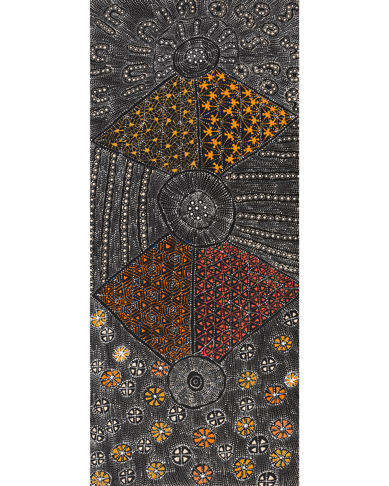 Aboriginal Artwork by Hilda Nakamarra Rogers, Lukarrara Jukurrpa (Desert Fringe-rush Seed Dreaming), 107x46cm