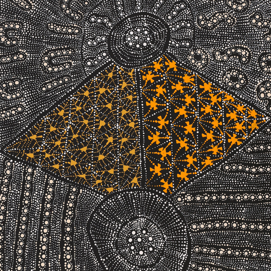 Aboriginal Artwork by Hilda Nakamarra Rogers, Lukarrara Jukurrpa (Desert Fringe-rush Seed Dreaming), 107x46cm