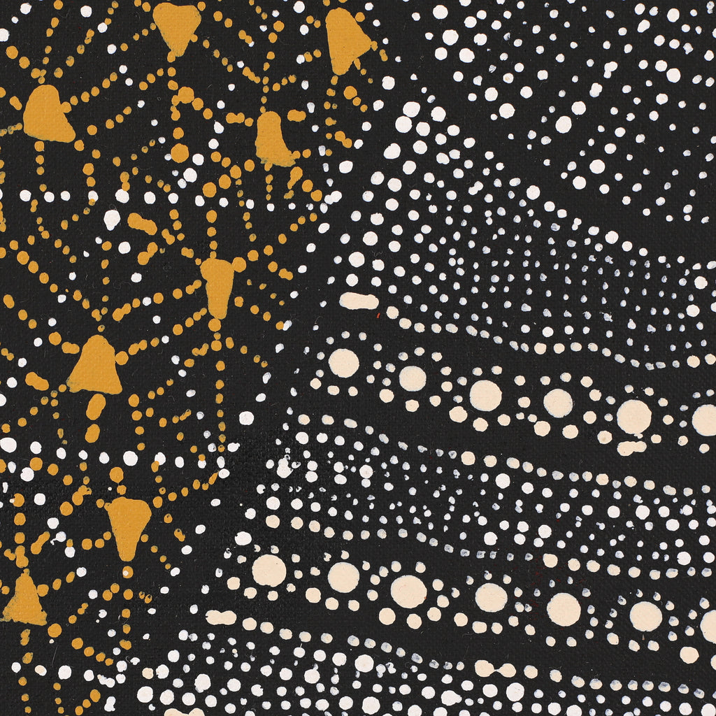 Aboriginal Artwork by Hilda Nakamarra Rogers, Lukarrara Jukurrpa (Desert Fringe-rush Seed Dreaming), 107x46cm