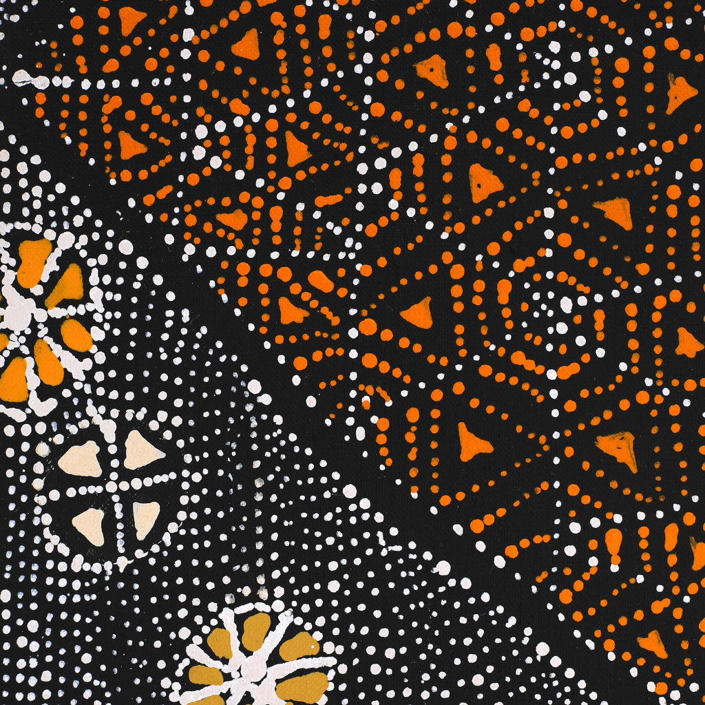 Aboriginal Artwork by Hilda Nakamarra Rogers, Lukarrara Jukurrpa (Desert Fringe-rush Seed Dreaming), 107x46cm