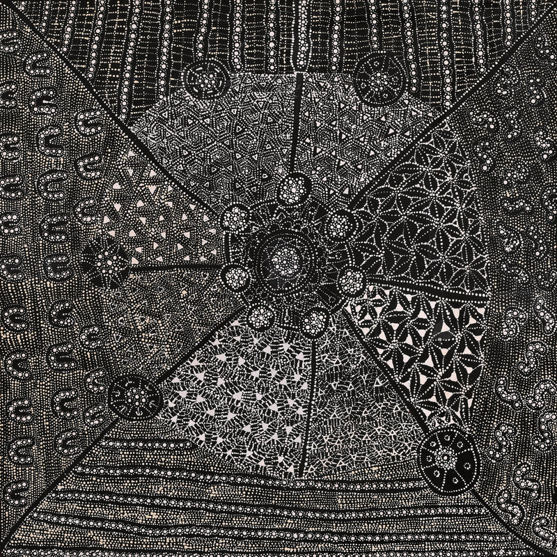 Aboriginal Artwork by Hilda Nakamarra Rogers, Lukarrara Jukurrpa, 91x91cm