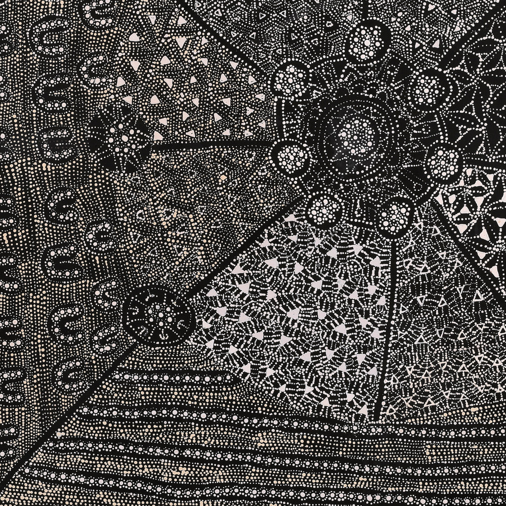 Aboriginal Artwork by Hilda Nakamarra Rogers, Lukarrara Jukurrpa, 91x91cm