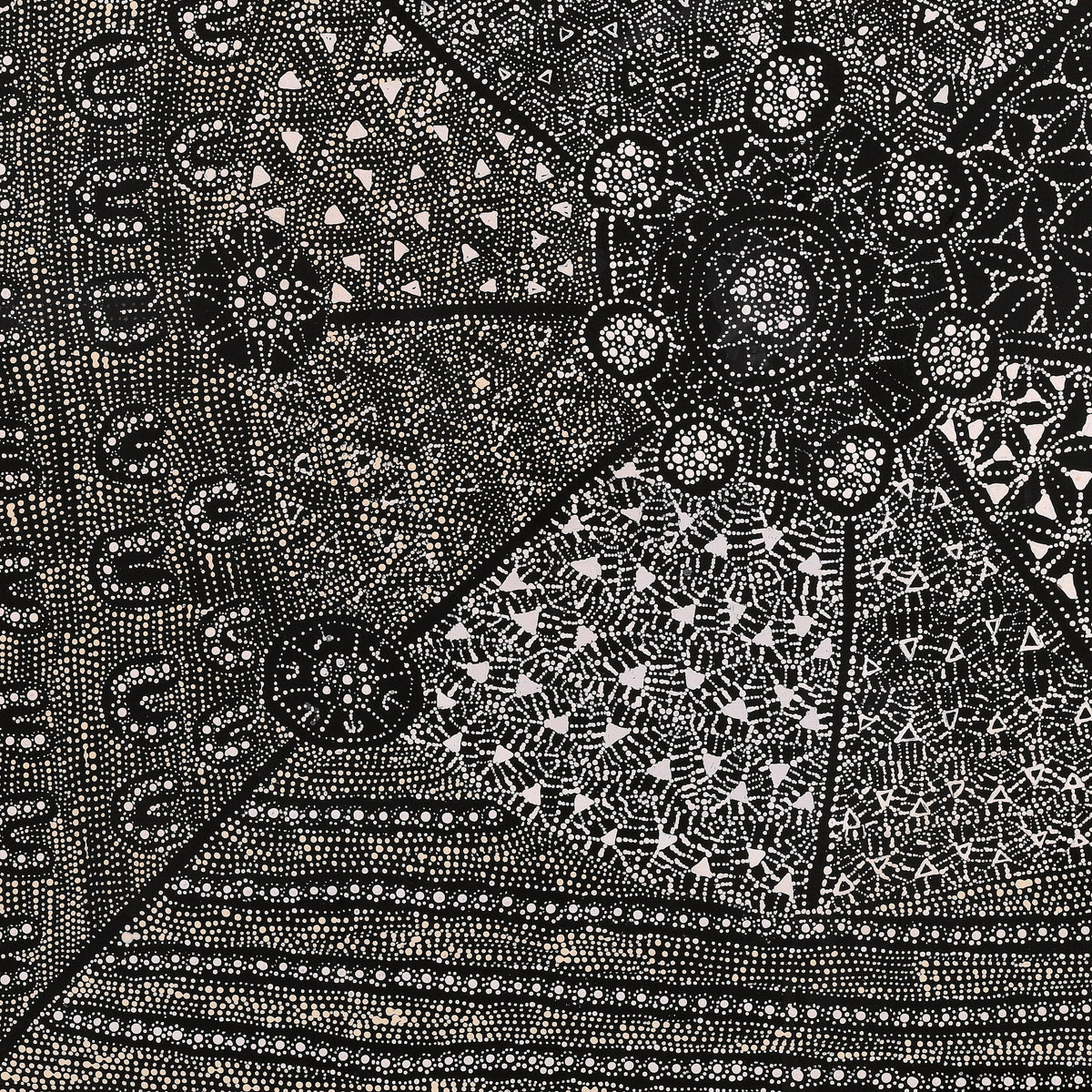 Aboriginal Artwork by Hilda Nakamarra Rogers, Lukarrara Jukurrpa, 91x91cm