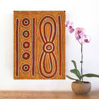 Hamish Japanangka Martin, Ngalyipi Jukurrpa (Snakevine Dreaming) - Mina Mina, 76x46cm
