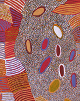 Aboriginal Artwork by Helen Nungarrayi Reed, Lupul Jukurrpa, 122x107cm
