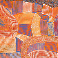 Aboriginal Artwork by Helen Nungarrayi Reed, Lupul Jukurrpa, 122x107cm