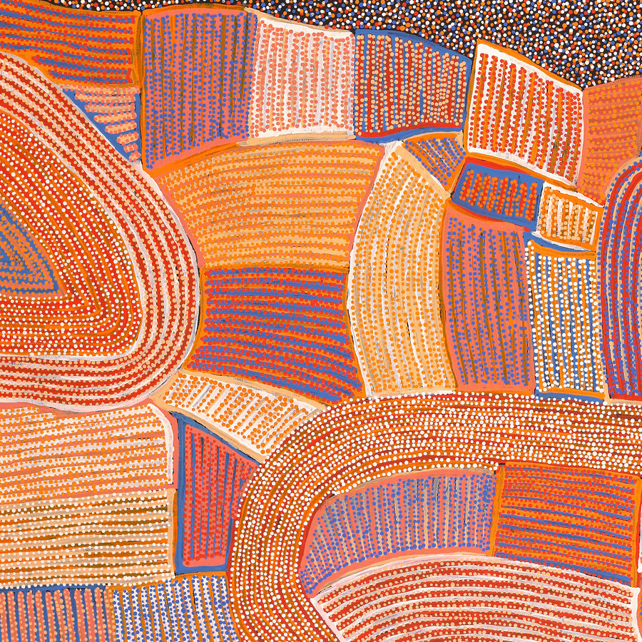 Aboriginal Artwork by Helen Nungarrayi Reed, Lupul Jukurrpa, 122x107cm