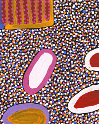 Aboriginal Artwork by Helen Nungarrayi Reed, Lupul Jukurrpa, 152x107cm