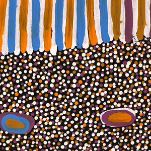 Aboriginal Artwork by Helen Nungarrayi Reed, Lupul Jukurrpa, 183x91cm - ART ARK®