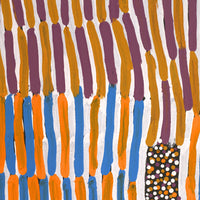 Aboriginal Artwork by Helen Nungarrayi Reed, Lupul Jukurrpa, 183x91cm