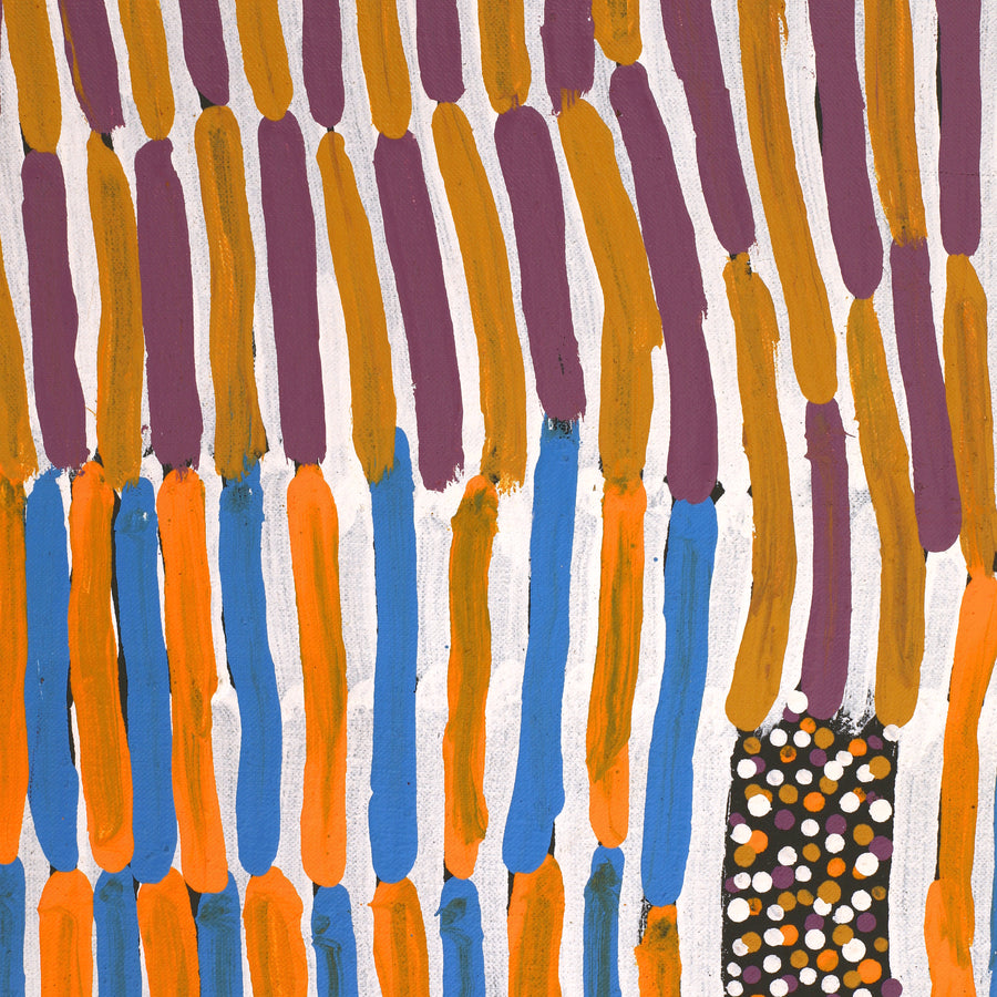 Aboriginal Artwork by Helen Nungarrayi Reed, Lupul Jukurrpa, 183x91cm