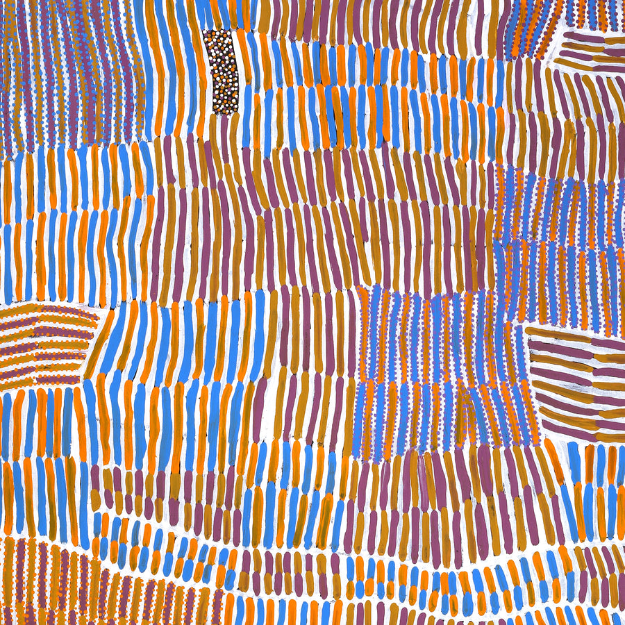 Aboriginal Artwork by Helen Nungarrayi Reed, Lupul Jukurrpa, 183x91cm