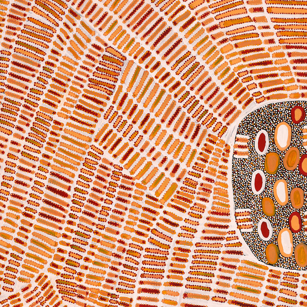Aboriginal Artwork by Helen Nungarrayi Reed, Lupul Jukurrpa, 152x107cm