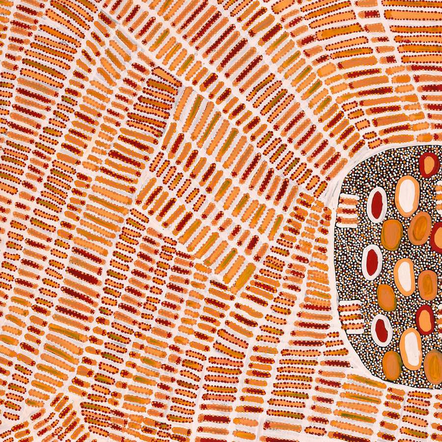 Aboriginal Artwork by Helen Nungarrayi Reed, Lupul Jukurrpa, 152x107cm