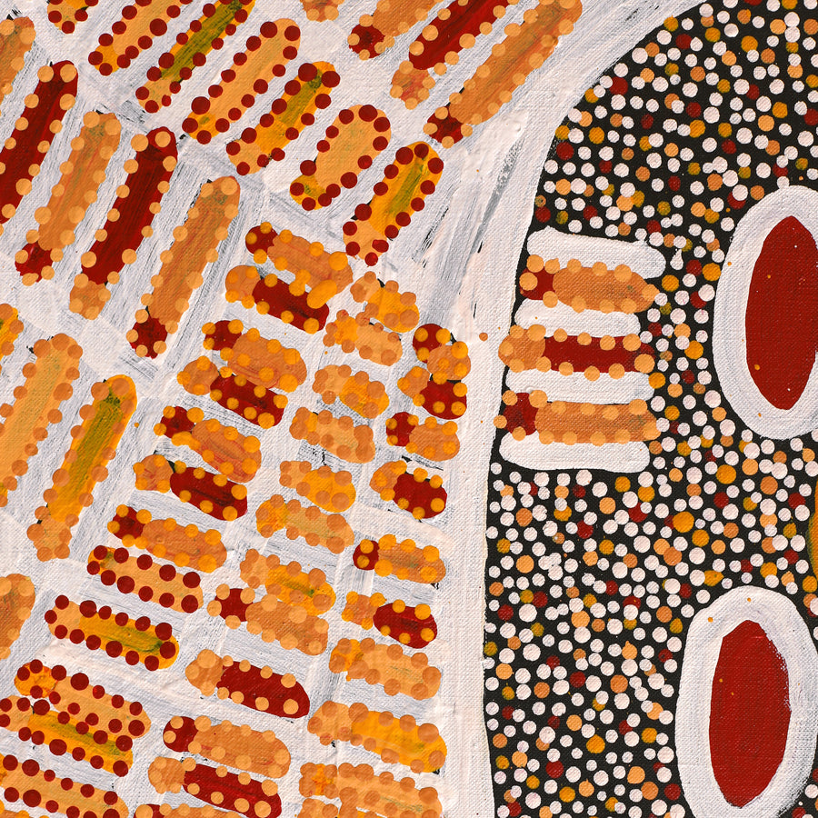 Aboriginal Artwork by Helen Nungarrayi Reed, Lupul Jukurrpa, 152x107cm