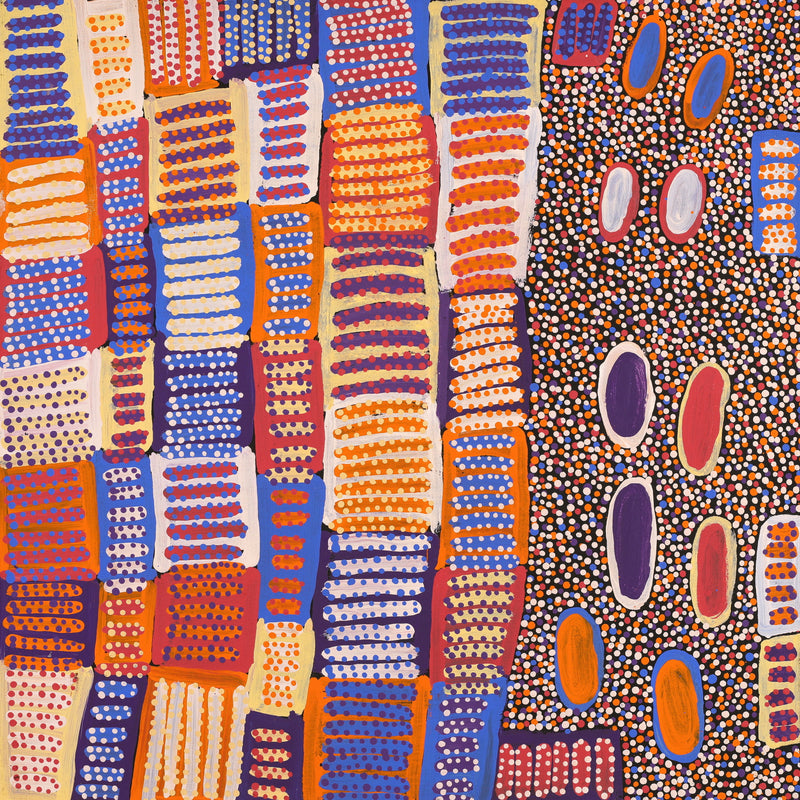 Aboriginal Artwork by Helen Nungarrayi Reed, Lupul Jukurrpa, 61x61cm