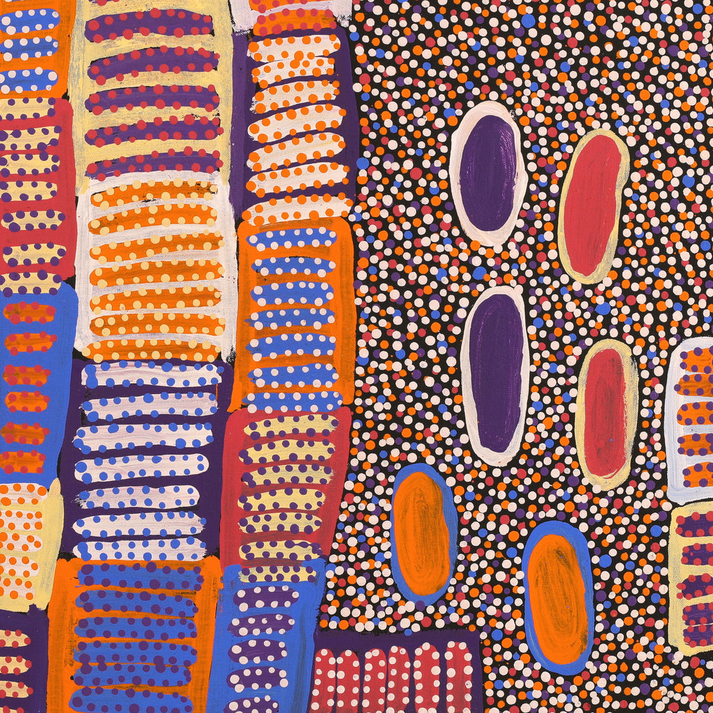 Aboriginal Artwork by Helen Nungarrayi Reed, Lupul Jukurrpa, 61x61cm