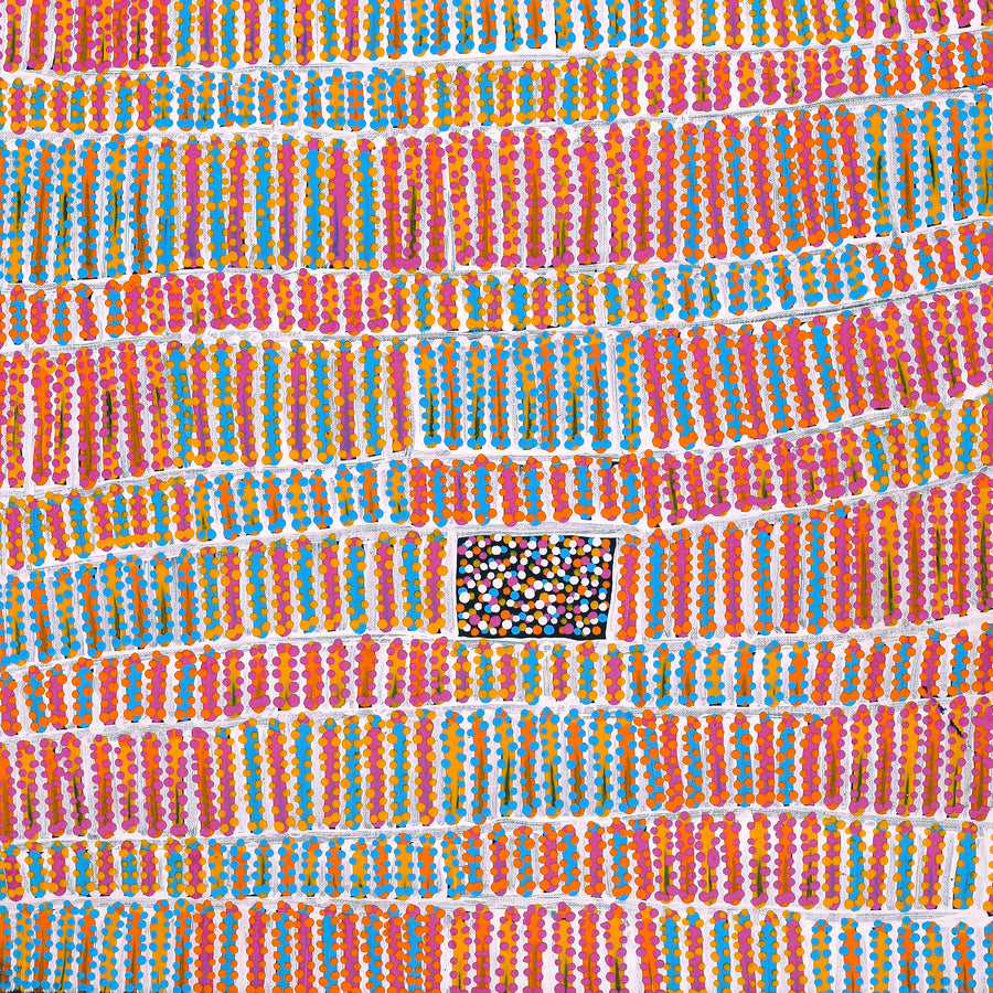Aboriginal Artwork by Helen Nungarrayi Reed, Lupul Jukurrpa, 76x46cm