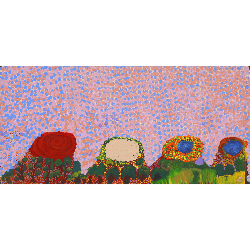 Aboriginal Artwork by Helen Dale Samson, Kumpupirntily (Lake Disappointment), 76x36cm