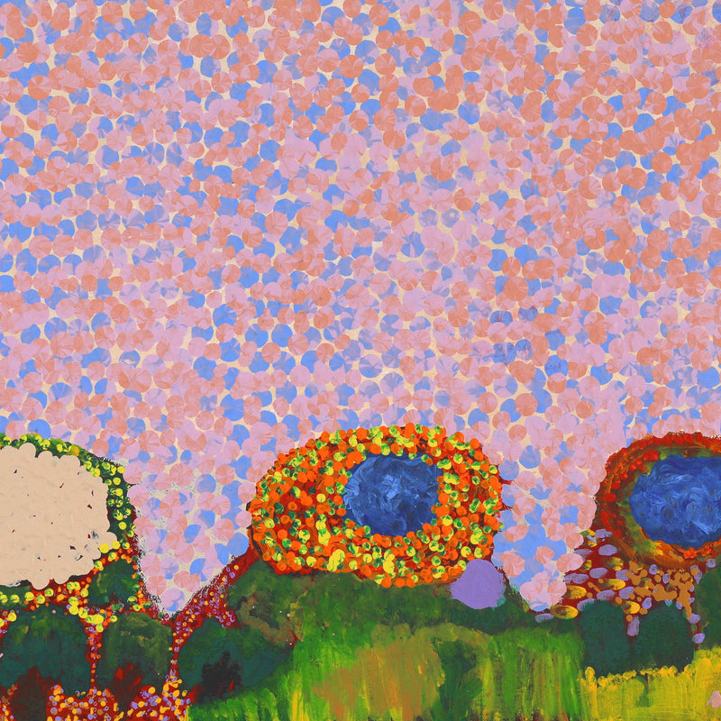 Aboriginal Artwork by Helen Dale Samson, Kumpupirntily (Lake Disappointment), 76x36cm