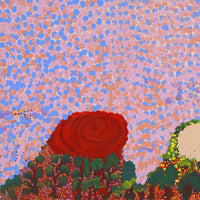 Aboriginal Artwork by Helen Dale Samson, Kumpupirntily (Lake Disappointment), 76x36cm