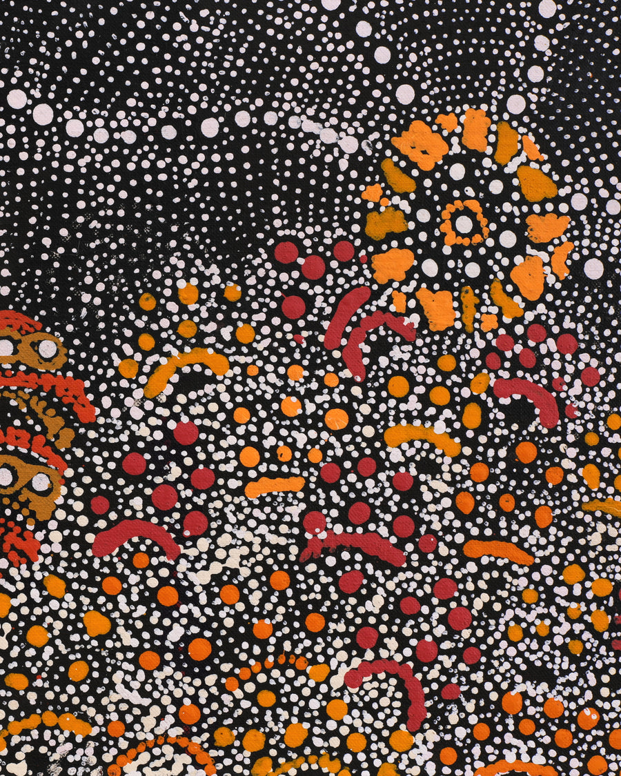 Aboriginal Artwork by Hilda Nakamarra Rogers, Lukarrara Jukurrpa, 107x30cm